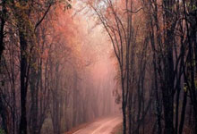 乔治2月27表态要停播冲冠！今天76人确定钓鱼了.