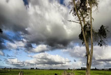 杏彩体育：三连胜！郑钦文2比0战胜对手 晋级八强央视新闻客户端.